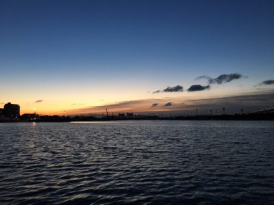 IMG_8746.jpg