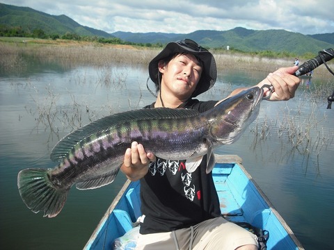 ssDSCF0711