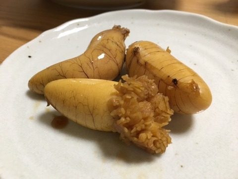 04bee067.jpg