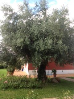0e1ca934.jpg