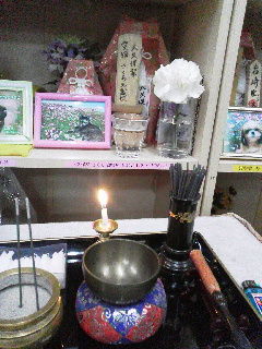 19a0f338.jpg