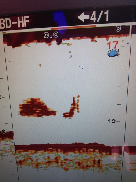 2012-11-04 16:30:42 写真1