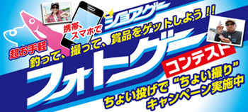 bnr_photogame