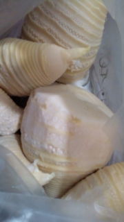 575a0420.jpg