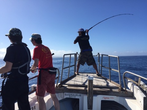 6308236b.jpg