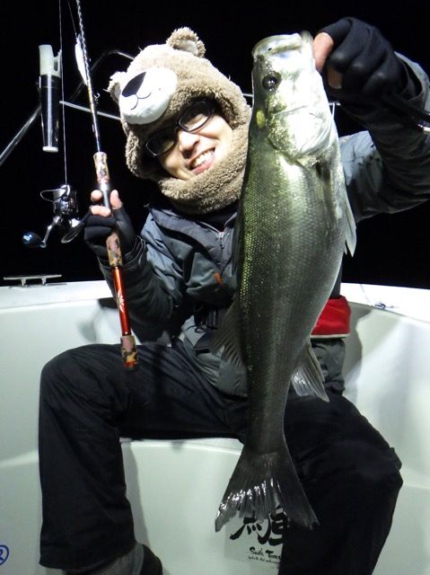 70f70080.jpg