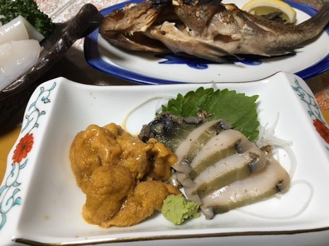 7b3110a9.jpg