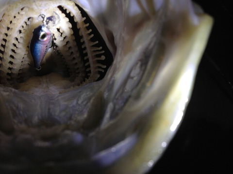 b4a6e256.jpg