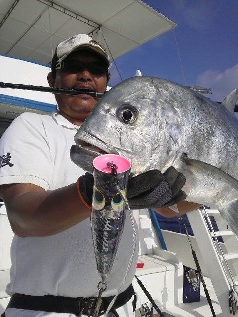 cb07e633.jpg
