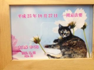 d368441a.jpg