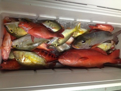 2012-11-12 20:43:25 写真1