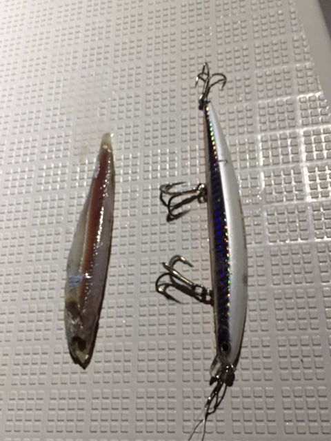 f31eb6d1.jpg